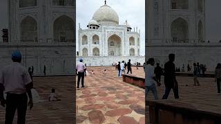 याद मे देखो बना है ये हसीन ताजमहल ❤viralvideo shortvideo agra tajmahal youtubeshorts [upl. by Ecirahs]