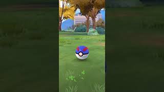 Shiny Zigzagoon in Pokemon Go [upl. by Hedwig]