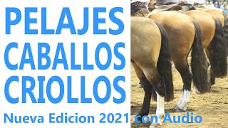 Pelajes Criollos de América ReEdicion 2021 Con Audio zainos alazanes bayos overos etc [upl. by Sethi]