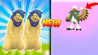 NEW HISUI TYPHLOSION RAID DAY ANNOUNCED FREE Raid Passes  Hisui Decidueye NEXT [upl. by Wahkuna]