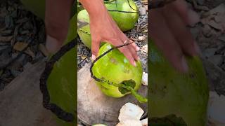 Coconut cutting tricks coconut cuttingskills satisfying asmrsounds fyp viralvideo shorts [upl. by Buckels572]