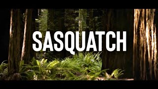 Sasquatch Documentary 2021 Part 1  Full Episode [upl. by Lanoil]