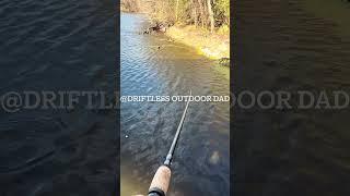 Bluegill Fishing on the River [upl. by Dixie]