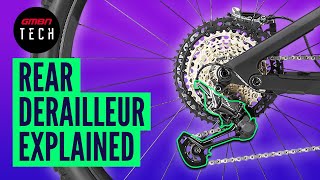 How Do Bike Gears Work  Mountain Bike Derailleur Explained [upl. by Perlman]