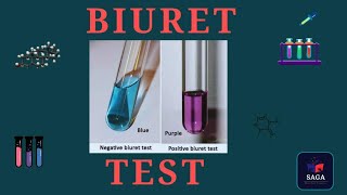 BIURET TEST FINAL full description BIURET TEST FOR PROTEIN ESTIMATION neetchemistry shorts jee [upl. by Laemsi214]