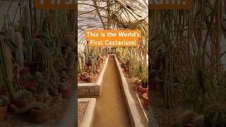 Explore a WorldFamous Cactarium in Palm Springs via weekendroadtrippers on IG shorts travel [upl. by Alla]