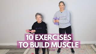 20 Min Strength Training for Seniors and Beginners  Gentle Exercises [upl. by Onnem548]