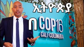 ኢትዮጵያ በCOP 16 [upl. by Elurd920]