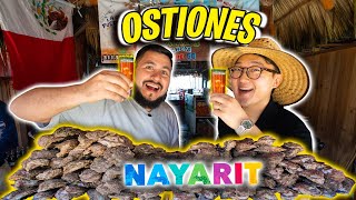 El PARAISO de los OSTIONES en NAYARIT [upl. by Dugald]