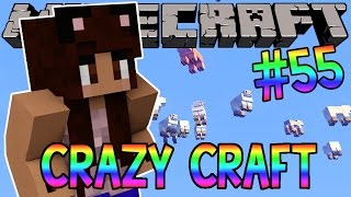 Minecraft YouTuber Survival 55  Flying Sheep Minecraft Crazy Craft 30 SMP [upl. by Nytnerb]