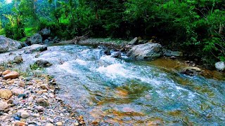 ASMR Flowing River Sounds for Ultimate Relaxation  Calming Nature Ambience [upl. by Florella]