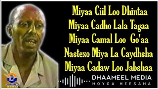 Cumar Dhuule  Nasteexo Miyaa La Caydhshaa   Original Kaban  Lyrics720PHD [upl. by Anohs]