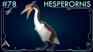 TODO SOBRE EL HESPERORNIS 78  ARK Survival Evolved  Dossiers La Isla [upl. by Zetniuq]