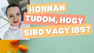 Honnan tudom hogy SIBO vagy IBS [upl. by Asinla541]