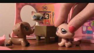 Littlest Pet Shop The Runaway Part 8 [upl. by Quiteris]