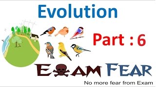 Biology Evolution part 6 Evidence from Fossils class 12 XII [upl. by Alimaj]