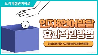 언어발달지연지적장애자폐스펙트럼 아동에게 간단한 방법으로 가르치는 인지amp언어발달 언어치료 [upl. by Solohcin]