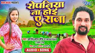 रोपनियाँ न होई ए राजा  Ropaniya Na Hoyi Ae Raja  Gyanendra Gyan Chaubey Priti Rai  Hit Song [upl. by Adnovad52]