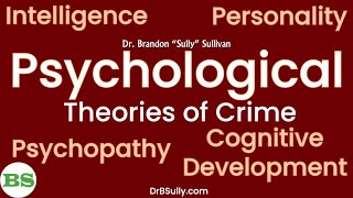 Psychological Theories of Crime  Intelligence Personality Psychopathy Cognitive Development [upl. by Katya662]