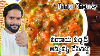 Brinjal Chutney  Vankaya Pachadi  Mana Intlo Youtuber [upl. by Auhsej268]