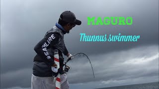 23kg gt rod Maguro thunnus swimmer [upl. by Yentiw]