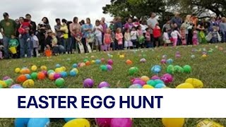 Texas sized Easter egg hunt with over 50000 eggs  FOX 7 Austin [upl. by Nuy]