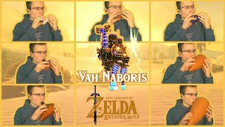 Attack on Vah Naboris Breath of the Wild  Ocarina Cover [upl. by Onibas]