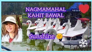 NAGMAMAHAL KAHIT BAWAL song by NAREX BERNAN cover song by SUNSHINE 🌞 [upl. by Elem]