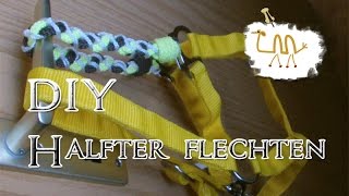 【DIY】  Halfter flechten  Teil1  【Keltischer Knoten】 [upl. by Flosser670]