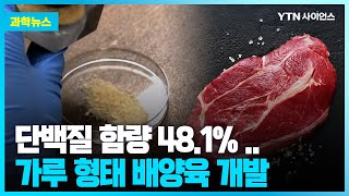 과학뉴스 닭가슴살보다 단백질 함량 높아 맛과 향은 그대로·영양은 높였다분말형 배양육 개발  230515 [upl. by Betteanne365]