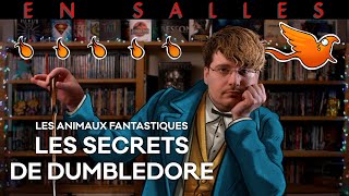 Vlog n°707  Les Animaux Fantastiques  Les Secrets de Dumbledore [upl. by Noman480]