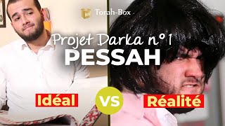 Projet Darka n°1  Pessah  idéal VS réalité [upl. by Ahcmis]