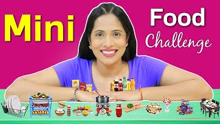 24 Hours Mini Food Eating Challenge  ShrutiArjunAnand [upl. by Acir]