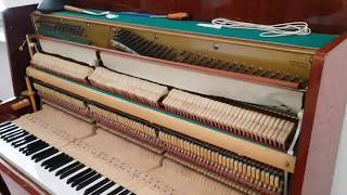 Accordare il pianoforte Fallo da solo Piano tuning Do it yourself [upl. by Annauqaj562]