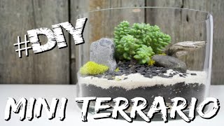 Decorazione Casa  Mini Terrario DIY [upl. by Calisa]