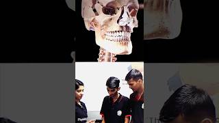 Visualisation Of Human Skull 😳😲 physicswallah pw pwmotivation pwians alakhpandey neet shorts [upl. by Kimball]