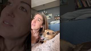 This Dog Loves Singing With His Owner [upl. by Gordy]