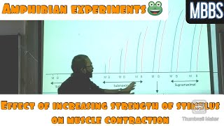 Effect of increasing Strength of Stimulus in Muscle contraction Amphibian experiments mbbs [upl. by Ydurt569]