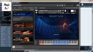 Native Instruments  Mallet Flux  Demo [upl. by Ilsa140]