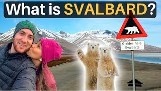 What is SVALBARD More Polar Bears than People [upl. by Aninat984]