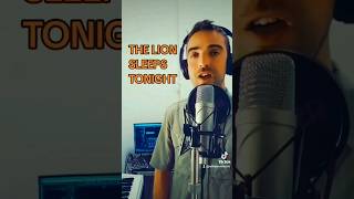 THE LION SLEEPS TONIGHT WIMOWEH [upl. by Eceinal96]