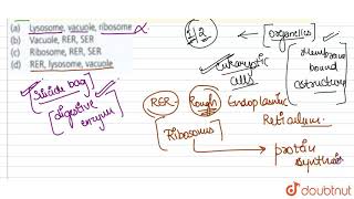 Which group of organelles is involved in synthesis of substances needed by cell [upl. by Ayad126]