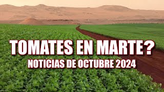 TOMATES EN MARTE  Noticias Octubre 2024  Perseverance amp Curiosity [upl. by Niwred]