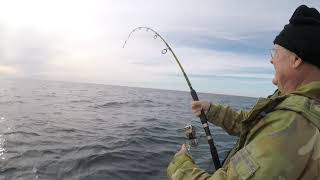 Keep bait on the hook Stop fish stealing bait Protects bait on deep drops [upl. by Agnew]