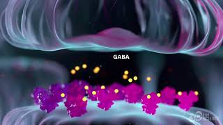 Columbia University Project Glutamic Acid Decarboxylase [upl. by Anived]