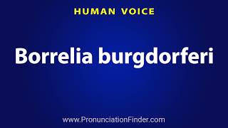 How To Pronounce Borrelia burgdorferi [upl. by Josy]