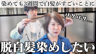 【40代くせ毛さん】3週間で白髪がすごいことにずっとこのままはイヤ！助けてください！ [upl. by Llennoj]