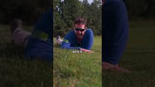 Tall Fescue vs Bermuda [upl. by Dahraf]