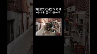 PENTAX MX와 함께 동네 한바퀴 근데 이제 핫셀블라드를 곁들인 pentax hasselblad 필름 필름사진 pentaxmx 펜탁스 핫셀블라드 [upl. by Arze]