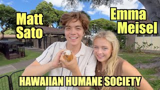 Matt Sato and Emma Meisel Visit The Hawaiian Humane Society in Honolulu Hawaii [upl. by Karas551]